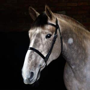 Stanford Anatomique Cheval Bride En Cuir Chêne Noir Nouveau Cob Marron avec Coutures Contrastées Western Equestrian Cavalry Bridle - Product Image 1