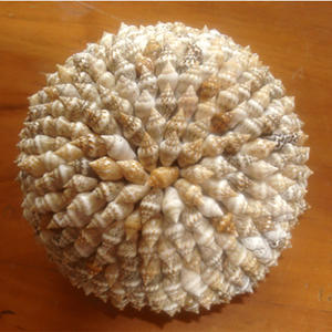 Boule de coquillages, bijoux en coquillages, artisanat en boule de coquillages, motif coquille naturelle, taille 12,5 cm - Product Image 2