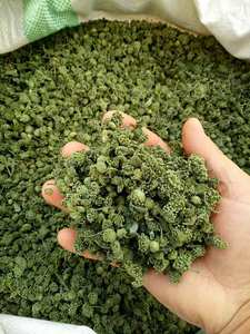 Vietnamese Supplier Dried Panax Pseudoginseng - Product Image 4