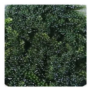 Uva de mar seca de Vietnam, calidad de exportación, de 99D, exportador global que ofrece textura estable y precios competitivos al por mayor - Product Image 1