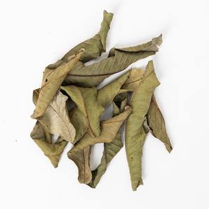 ใบฝรั่งใบฝรั่งใบฝรั่งสำหรับทำเครื่องดื่มสมุนไพรเพื่อสุขภาพ - Product Image 1