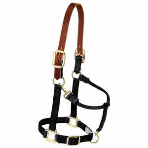 Halters professionnels de bride d'équitation Halters de cheval de logo personnalisé les plus vendus - Product Image 1