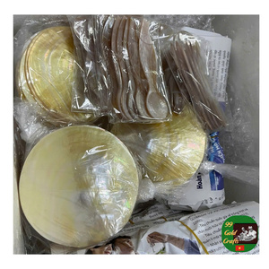 Ensemble cuillère et plat en nacre artisanale, parfait pour servir le caviar, cuillère et plat en nacre pour les amateurs de caviar - Product Image 2