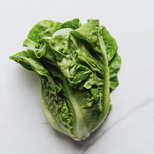 Fournisseur en vrac de laitues et légumes: feuilles, tiges et graines pour salades, soupes, sandwichs, wraps et grillades - Product Image 2