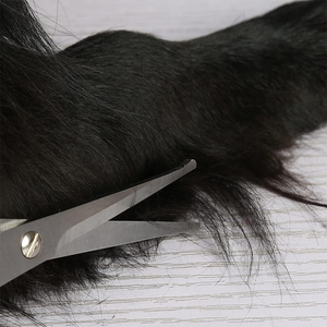 Tijeras DE ASEO con mango de plástico azul cielo, acabado de hoja recta, tijeras de aseo para mascotas con reposapiés y tornillo - Product Image 3