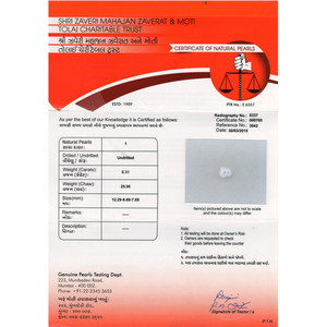 NOVAMART Fine Basra Pearl 6.31 Carat Natural Freshwater White for Jewelry and Making Wholesale Export - Product Image 4