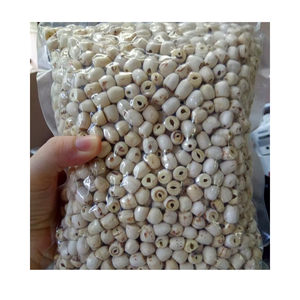 เมล็ดบัวอบแห้งสีขาวเกรดพรีเมี่ยมพร้อมส่งจาก99 Gd-ผู้จำหน่ายที่ดีที่สุดในเวียดนาม - Product Image 1