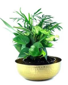 Trending Kitchen Metal <b>Bowls</b> Gold Salad <b>Bowl</b> Stainless Steel <b>Mixing</b> Bowlin Modern and Unique Design - Product Image 6