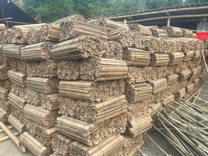 Bambú de Vietnam con forma recta, superficie lisa y ancho uniforme, adecuado para la construcción de artesanías y exportación a granel. - Product Image 3