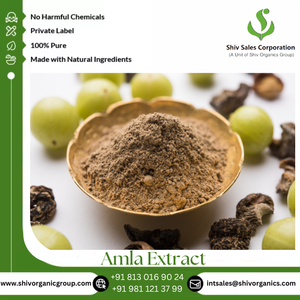 100% pur et naturel qualité supérieure Amla extrait de plantes poudre prix de vente faible approvisionnement en vrac du fournisseur - Product Image 2