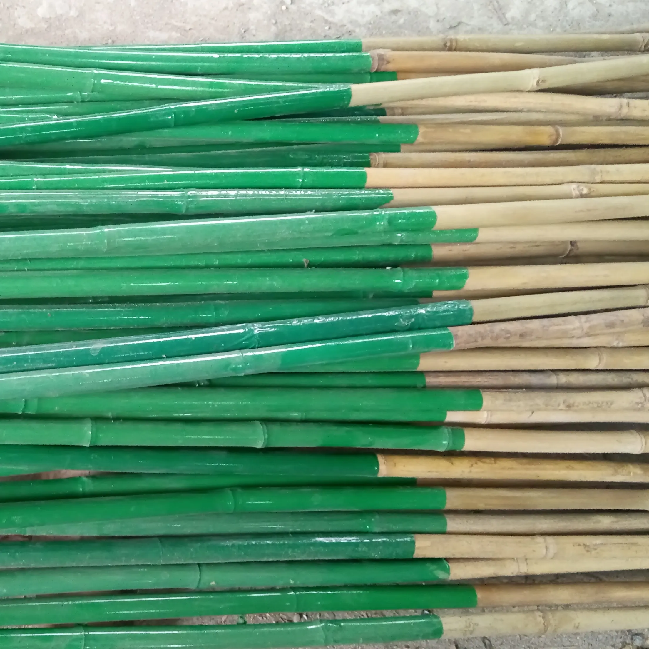 Pabrik Pabrik kualitas tinggi bahan bambu pasak tiang bambu Moso diperlakukan buatan tiang bambu dari vietnam