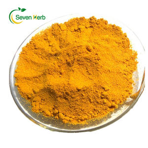 Keluaran baru bubuk Kurkumin Liposomal bubuk Kurkumin liposom - Product Image 3