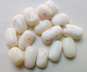 ปะการังสีขาวปะการังธรรมชาติมีค่าสีขาวปะการังสีขาวรูปไข่ปะการังญี่ปุ่นสีขาวสำหรับทำเครื่องประดับ - Product Image 5