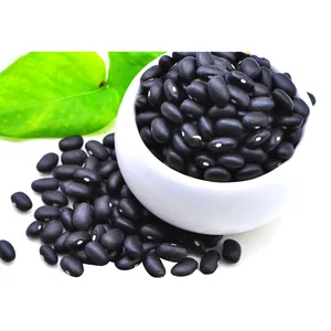 2024 New Crop Black Non-Gmo Soybean Frijoles negros de alta calidad Precio de exportación Negro