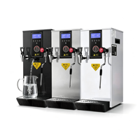 Machine à vapeur professionnelle pour salons de thé, machine à vapeur à double température avec réglage de la température et fonction de mousseur à lait