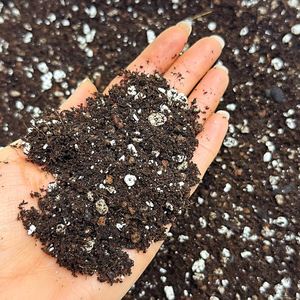 Biochar brut à prix abordable, base de carbone horticole de qualité supérieure pour la remédiation des terrains à grande échelle et les projets de reforestation urbaine - Product Image 1