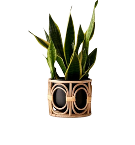 Flower Pot for Plants Rattan Handmade Small Size Flower <b>Baskets</b> Planter for Home & <b>Garden</b> Floor Decoration Planter - Product Image 4