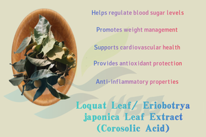 Hgo สารสกัดจากใบโคโรซอลิก (เกรดอาหาร) 1% - 5% - Product Image 5