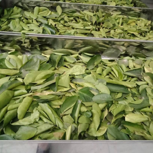 PRODUCTO CALIENTE | HOJA DE LIMÓN DESHIDRATADA/HIERBA DE HOJAS DE LIMÓN NATURAL CON PRECIO BARATO - Product Image 5