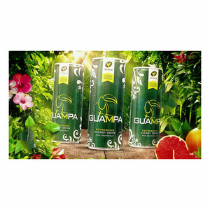 Boisson énergisante Guampa 250ml originale des États-Unis, vente en gros en vrac au prix d'usine, ginseng sans sucre comme ingrédient principal - Product Image 6