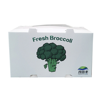 Boîte en plastique polypropylène Coroplast Emballage agricole pour collards Coriandre Brocoli Maïs