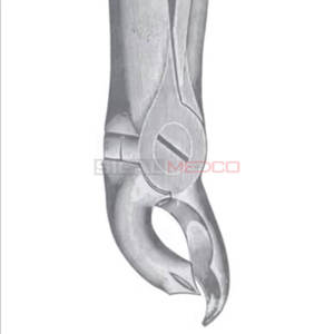 Fig. 26 Fórceps de extracción de dientes de diferentes tamaños Instrumentos médicos dentales Precio al por mayor Acero inoxidable - Product Image 3