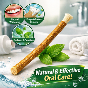 ไม้กวาดฟันธรรมชาติพร้อมกล่องใส่แบบสุญญากาศ พกพาสะดวก สะอาดถูกสุขอนามัย - Product Image 3