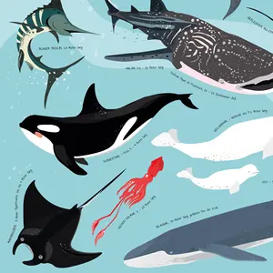 Póster de aventura submarina: ¡Descubre el fascinante mundo de los animales marinos! - Product Image 3