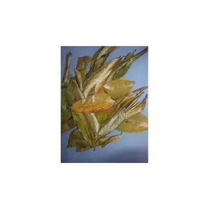 Листья сухих сортов, листья Гавиолы гуанабана, 100% органический травяной чай, полезный чай