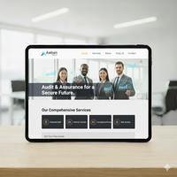 Firma de auditoría profesional Diseño de sitios web Agencia de desarrollo Web asequible que ofrece presencia en línea confiable y efectiva