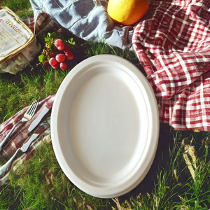 Bandeja y plato ovalado desechable de bagazo biodegradable ecológico de 10x8 pulgadas, marca blanca BIO WORLD sin BPA - Product Image 1