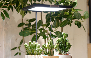 ROKI 350 Diseño de circuitos Panel de luz LED para interiores Buena calificación para excelente calidad Estilo moderno Crecimiento de plantas Comprar - Product Image 3