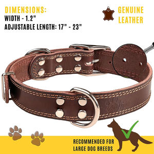Collares de perro de cuero marrón Premium Durable Ajustable Hebilla de metal acolchada suave Tamaños para razas pequeñas a grandes - Product Image 3