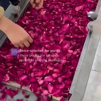 150 g/sac lait beauté roses naturelles pétale bain bali fleurs pour spa carrosseries vente en gros salle de bain sachets de fleurs séchées pétale de rose