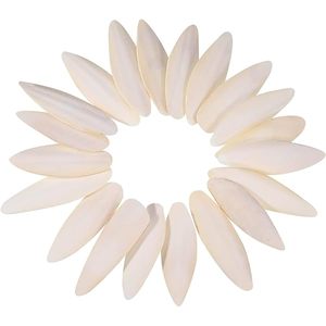 อาหารนกแก้วกระดูกปลาหมึกแห้ง - Product Image 6