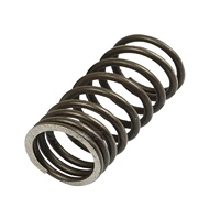 0780273 733822M1 735525M1 3639218M1 Ressort de soupape d'admission du moteur Pièces de rechange pour tracteurs Massey Ferguson MF Tous types