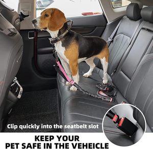 Handmade Small Medium Large Dog Leash Colorful Nylon <b>PU</b> Macron with Personalized Ribbons Braided by Manufacturer for Wholesale - Product Image 5