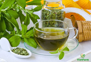 หญ้าหวานสกัดจากพืชหญ้าหวานผงหญ้าหวานแห้งสมุนไพรเวียดนาม - Product Image 2