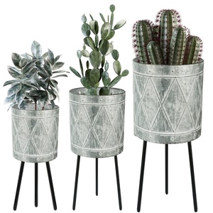 Jardinières décoratives modernes en fer galvanisé, écologiques, au design captivant, capacité personnalisable (petites et grandes) - Product Image 2