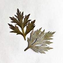 INGREDIENTE DE TÉ DE HIERBAS A BASE DE PLANTAS DE ETIQUETA LIMPIA DE HOJAS SECAS PREMIUM - Product Image 6