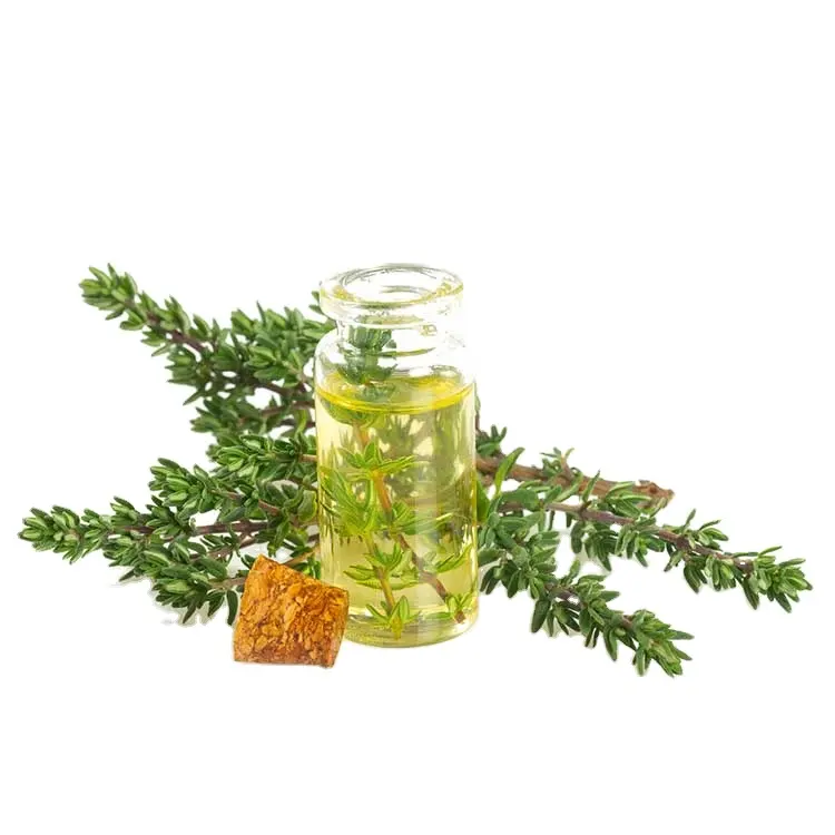 Organic 100% Pure Skin And Hair Caring Thyme Essential Oil For Face At Wholesale At Bulk Price | Thyme Essential Oil VedaOils