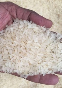 Beras <span class=keywords><strong>Basmati</strong></span> 2023 kualitas Premium terbaik 1121 beras Sella <span class=keywords><strong>Basmati</strong></span> tersedia tersedia beras organik