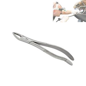 Fórceps de extracción Dental Manual Premium, herramienta de odontología equina veterinaria de acero inoxidable para procedimientos de dientes de caballo - Product Image 3