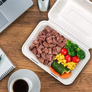 Vente en gros de récipients de repas jetables en bagasse de 9x6 pouces avec couvercle biodégradable paquet de 50 pièces fabriqués en Inde - Product Image 2