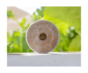 Vente en gros de comprimés de tourbe de coco en vrac 100% naturels et de haute qualité à bon prix au Vietnam - Product Image 3