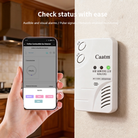 Détecteur de fuite de méthane à semi-conducteur CAATM JT-CA319N Alarme de gaz naturel adaptée aux cuisines domestiques