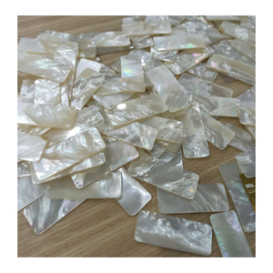 Pièces de coquille de nacre Vietnam tranches de nacre pour artisanat bijoux incrustation décoration de meubles et art mural - Product Image 3