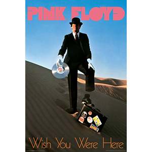 Póster de Pink Floyd estilo moderno 'Wish You Were Here' para decoración de pared en color rosa - Product Image 2