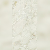 Weltklasse Moderne Hochglanz-Vitrifizierte Porzellanfliesen 600x1200mm Rutschfest Langlebig für Schwimmbad Außenbereich & Badezimmer