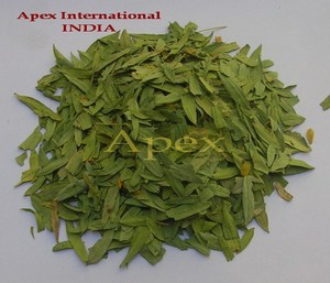 Hojas secas de Senna cortadas en T y polvo de hoja, hojas laxantes naturales, exportador de hojas de Senna India, hojas de Senna para té - Product Image 1